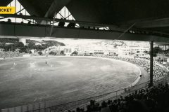 pitchreporter