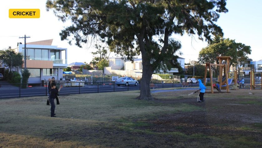 Seven Grounds, One Trophy: The Venues of the Women's T20 World Cup